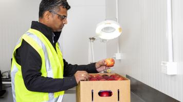 The role of renewable logistics in the solar industry
